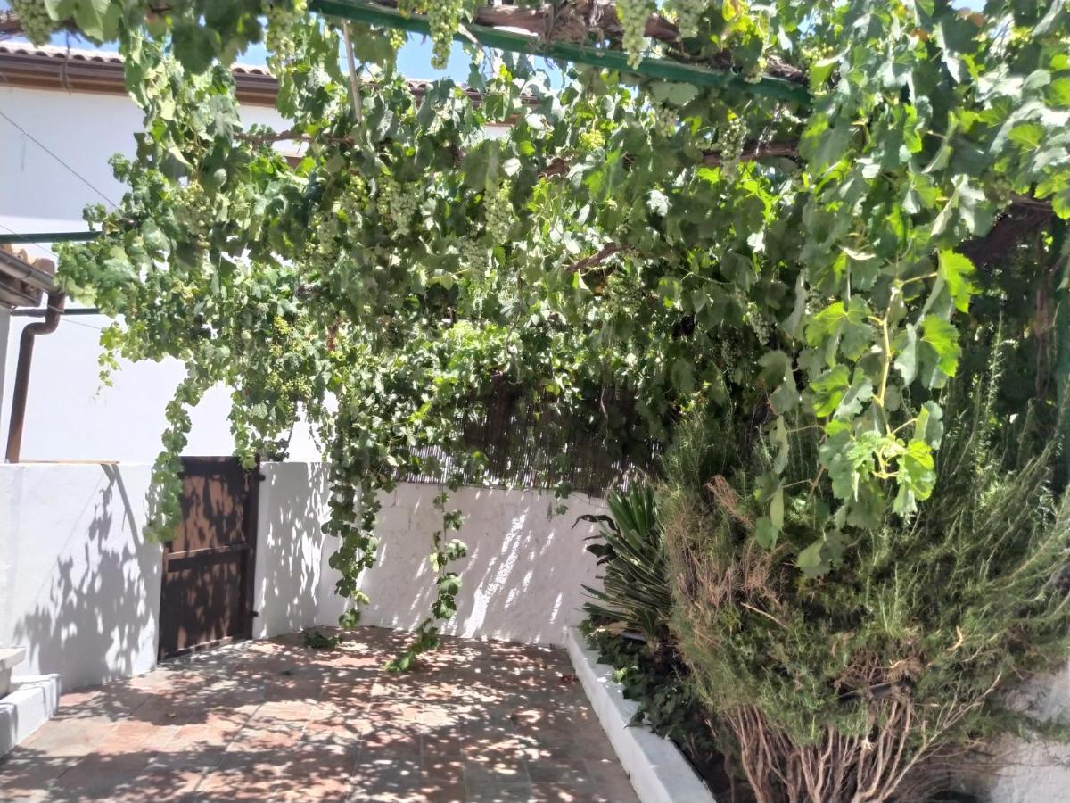 La Casa Del Ingles Villa Montefrío Kültér fotó